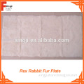 Pure White Rex Rabbit Fur Plate